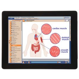 Systems of the Human Body I: Moving & Controlling the Body Multimedia ...