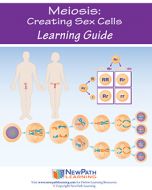 Meiosis: Creating Sex Cells Student Learning Guide - Grades 6 - 10 - Print Version