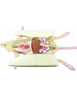 Rat Dissection Model Making Kit Set of 5