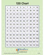 120-Number Square Graphic Organizers Laminated Set of 10