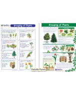 Grouping of Plants Visual Learning Guide 
