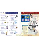 The Compound Microscope Visual Learning Guide 