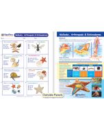 Mollusks, Arthropods & Echinoderms Visual Learning Guide