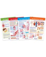 Providing Fuel and Transportation Bulletin Board Chart Set of 4