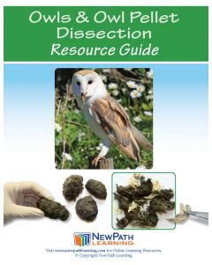 Owls and Owl Pellet Dissection Resource Guide - Grades 4 - 9 - Downloadable eBook