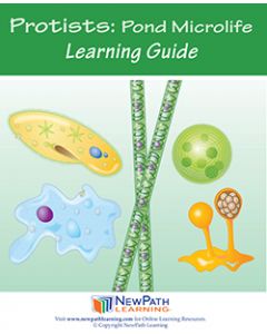 Protists: Pond Microlife Student Learning Guide - Grades 6 - 10 - Downloadable eBook