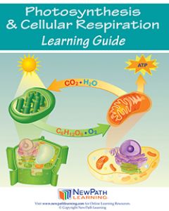 Photosynthesis & Cellular Reproduction Student Learning Guide - Grades 6 - 10 - Downloadable eBook