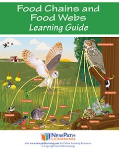 Food Chains & Food Webs Student Learning Guide With Multimedia Lesson