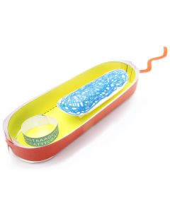 Simple Bacterial Cell 3-D Model Making Kit