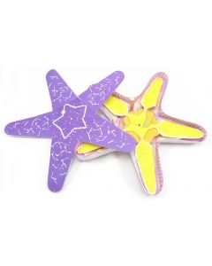 Starfish Dissection Model Making Kit Set of 5
