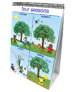 Weather & Sky Curriculum Mastery® Flip Chart Set - Early Childhood - English Version