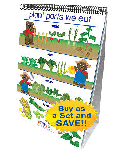 Science Readiness Flip Chart Set - Set of 7 - Early Childhood