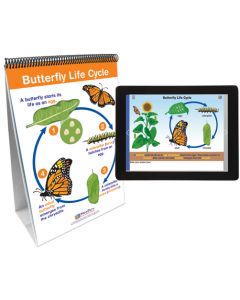 Life Cycles Flip Chart Set With MULTIMEDIA Lesson