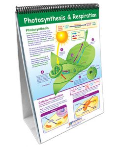 Life Science Curriculum Mastery® Flip Chart Set 