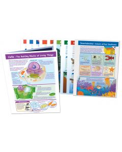 Grade 4 Science Visual Learning Guides™ Set