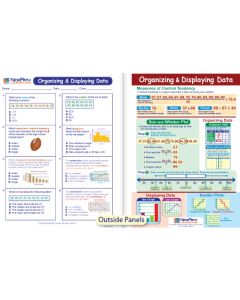 Organizing & Displaying Data Visual Learning Guide 