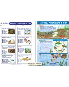 Reptiles, Amphibians & Fish Visual Learning Guide 