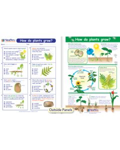 How Do Plants Grow? Visual Learning Guide 