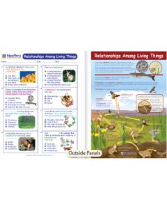 Relationships Among Living Things Visual Learning Guide 