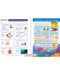 Invertebrates - Animals without Backbones Visual Learning Guide 