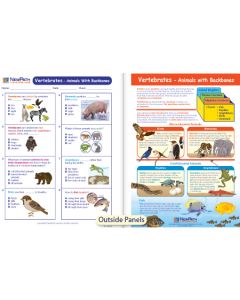 Vertebrates - Animals with Backbones Visual Learning Guide 