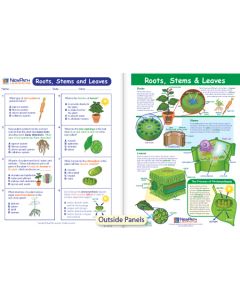 Roots, Stems & Leaves Visual Learning Guide 