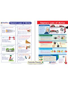 Newton's Laws of Motion Visual Learning Guide 