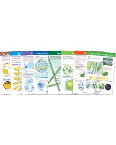 Protists: Pond Microlife  Bulletin Board Set of 8 